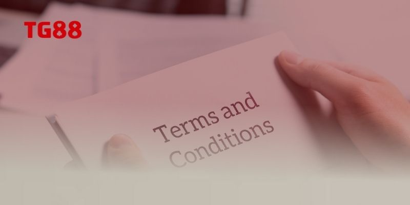 Quyền lợi người dùng theo điều khoản điều kiện TG88